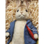 R John Wright Peter Rabbit Doll Beatrix Potter LE 1344/2500 Wool Felt COA Box