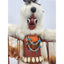 Kachina Eagle Dance Figurine Native American Art Signed IMSB Southwestern 17"