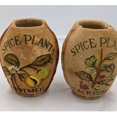Spice Plants Jars Pair Nutmeg Myristica Moschata Black Pepper Piper Philippines