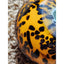 Paperweight Art Glass Leopard Animal Print Vintage Bookshelf Home Office Decor