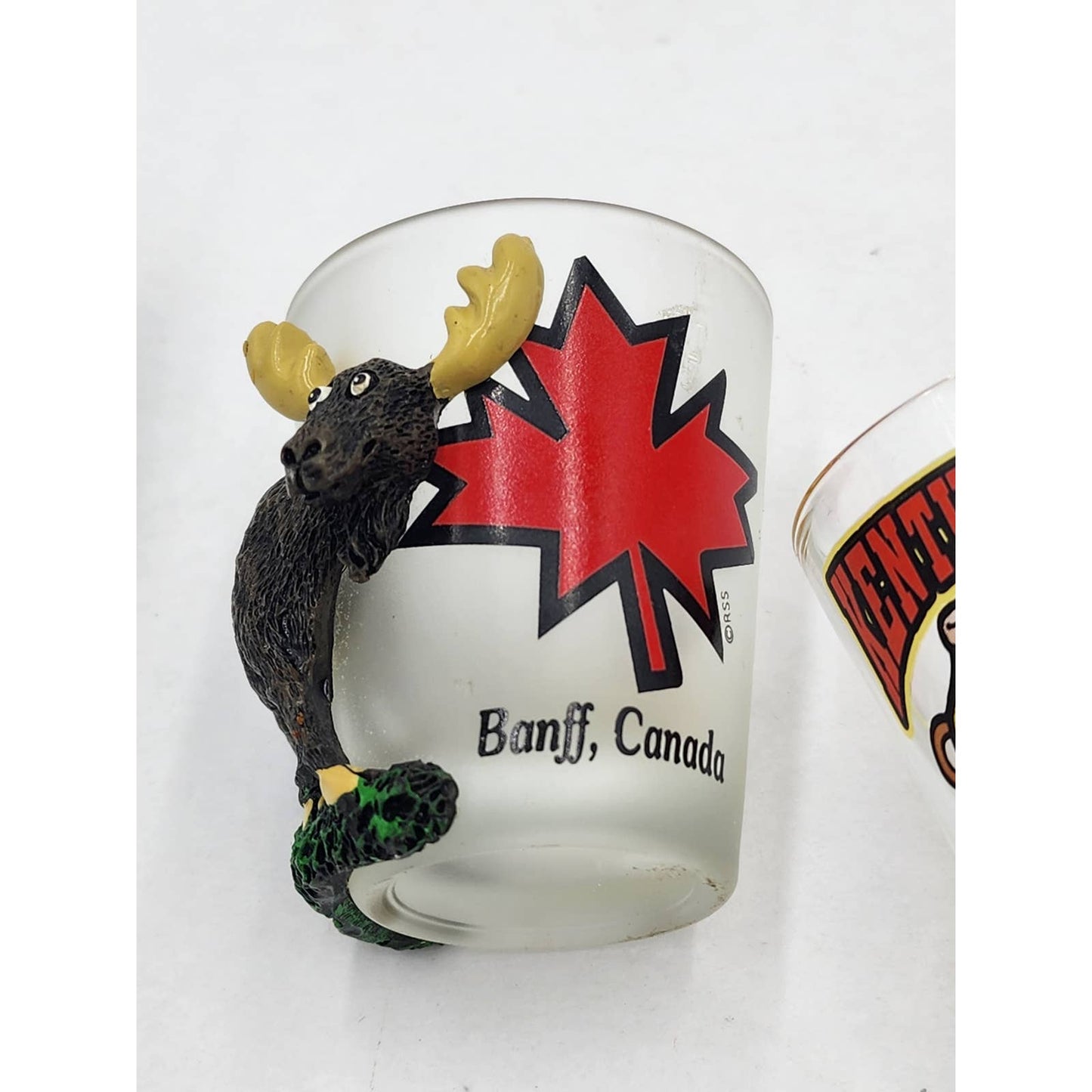 Shot Glasses Collection Bar Vintage Kentucky Sipper Banff Moose Mexico Souvenir