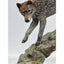 Kitty Cantrell Legends Bronze Mixed Media Sculpture Missed By Hare Wolf Wildlife