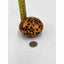 Paperweight Art Glass Leopard Animal Print Vintage Bookshelf Home Office Decor