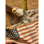 Wild Wings Lets Roll American Eagle Randall Reading Wall Art Patriotic Sculpture