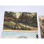 Post Card Lot Red Wing MN Cemetery High Bridge Swedish Mission Church Vintage
