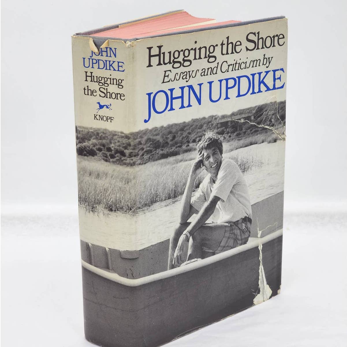 Hugging The Stone Essays Criticism By John Updike First Edition Vintage 1983