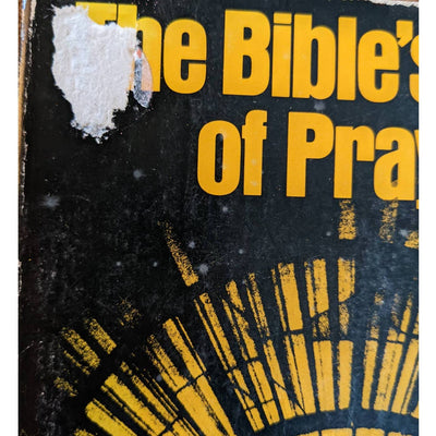 Vintage The Bible's Ways Of Prayer 1980 By Wilfrid Harrington, O.P. Paperback