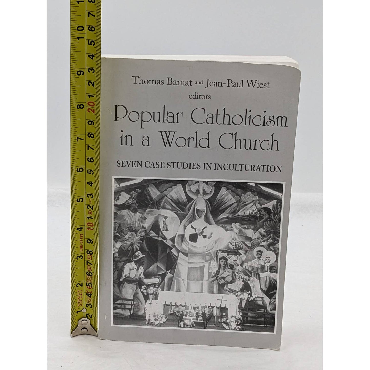 Popular Catholicism In A World Church Seven Case Studies In Inculturation 1999