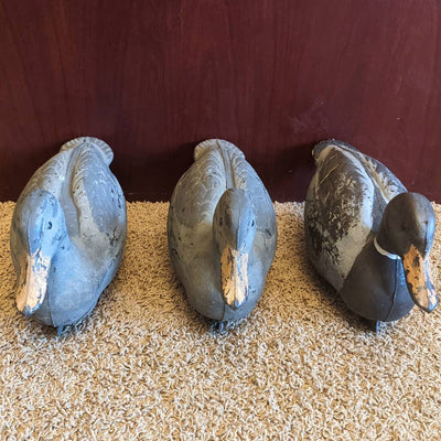 Lot Of 3 Plastic Duck Decoys 12-14" Vintage Hunting Equipment