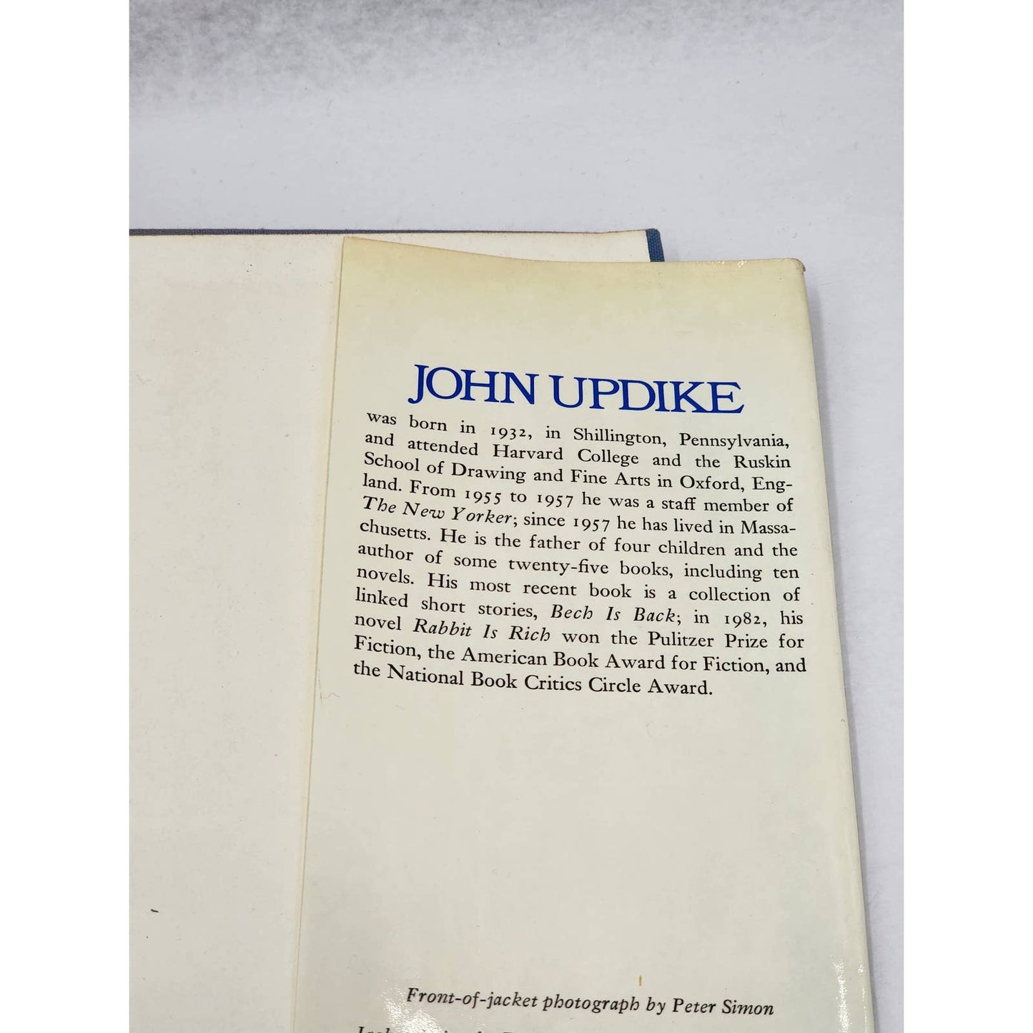 Hugging The Stone Essays Criticism By John Updike First Edition Vintage 1983