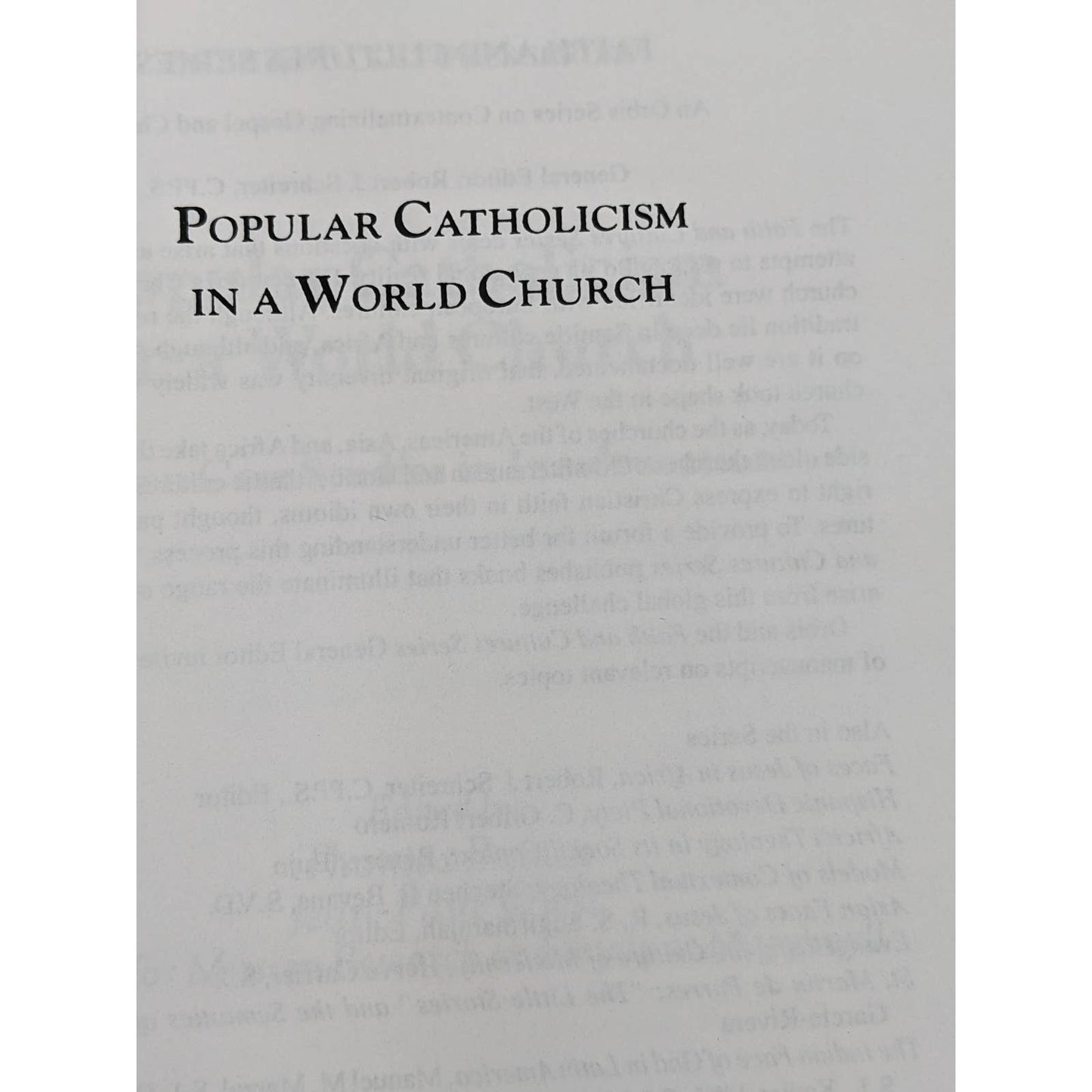 Popular Catholicism In A World Church Seven Case Studies In Inculturation 1999