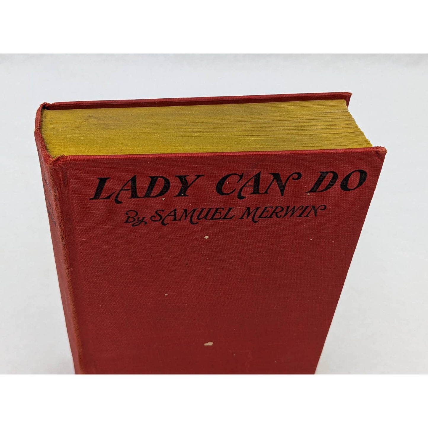 Lady Can Do By Samuel Merwin Vintage A Murder Mystery Novel Early Printing 1929