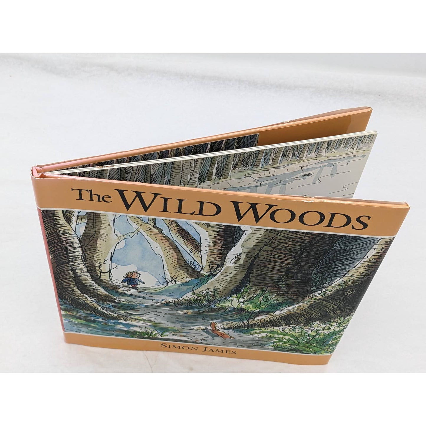 The Wild Woods By Simon James Vintage Childrens Book US First Edition 1993