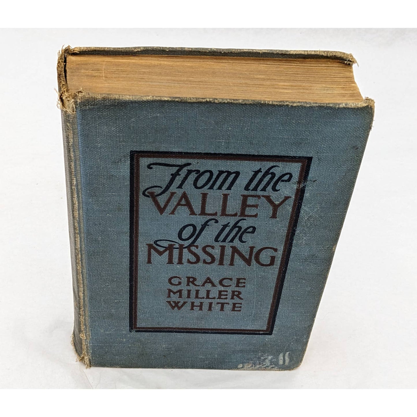 From The Valley Of The Missing By Grace Miller White Antiquarian Novel 1911