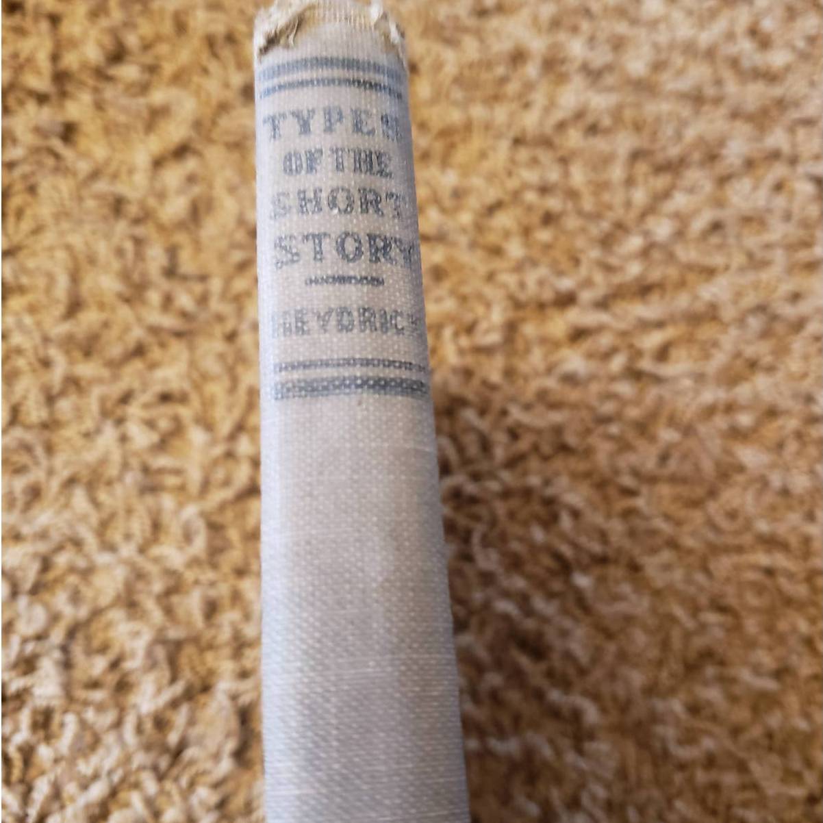 1913 The Lake English Classics Types of the Short Story by Heydrick