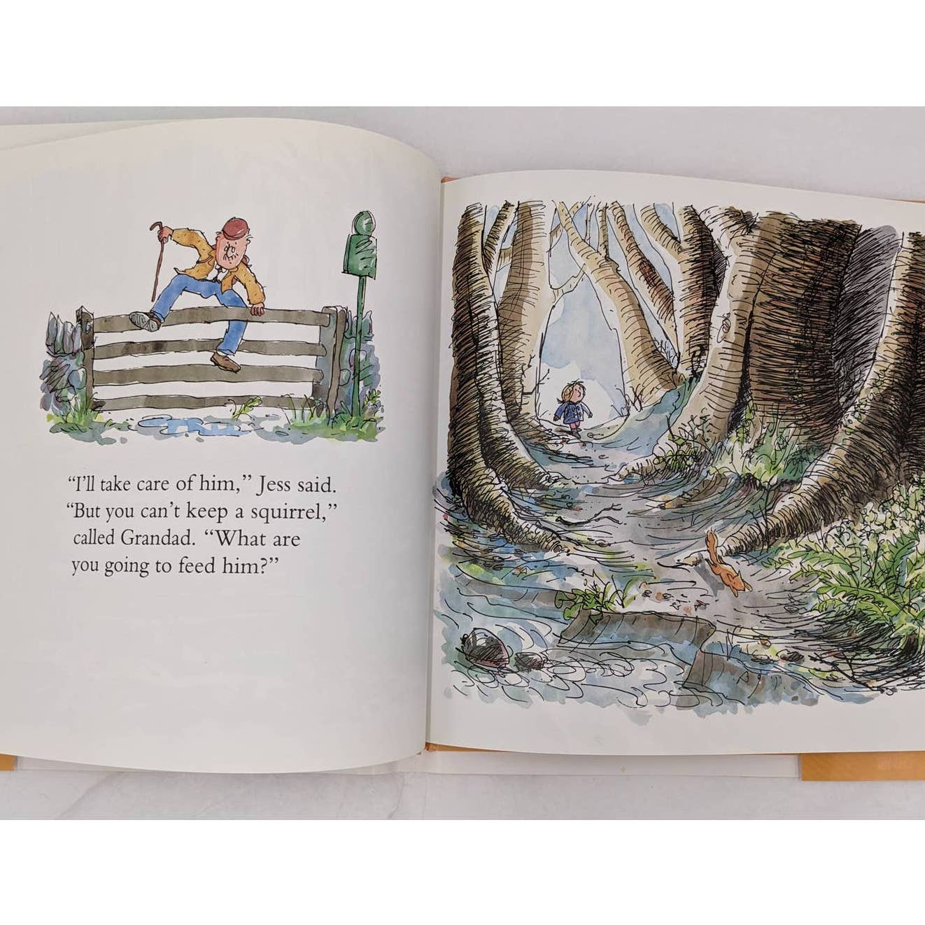 The Wild Woods By Simon James Vintage Childrens Book US First Edition 1993