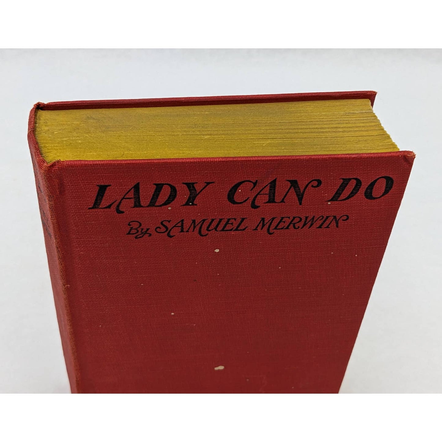 Lady Can Do By Samuel Merwin Vintage A Murder Mystery Novel Early Printing 1929