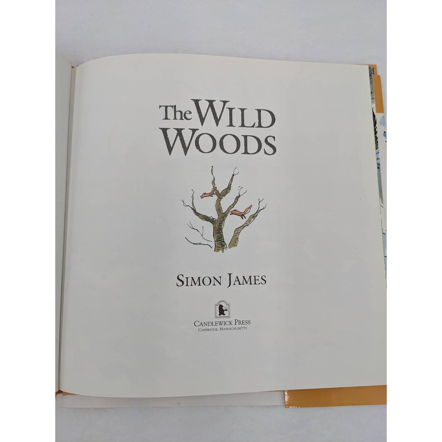 The Wild Woods By Simon James Vintage Childrens Book US First Edition 1993