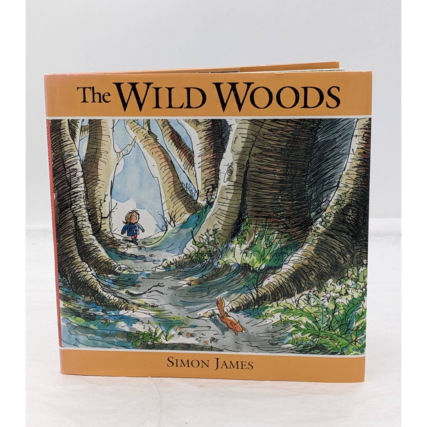 The Wild Woods By Simon James Vintage Childrens Book US First Edition 1993