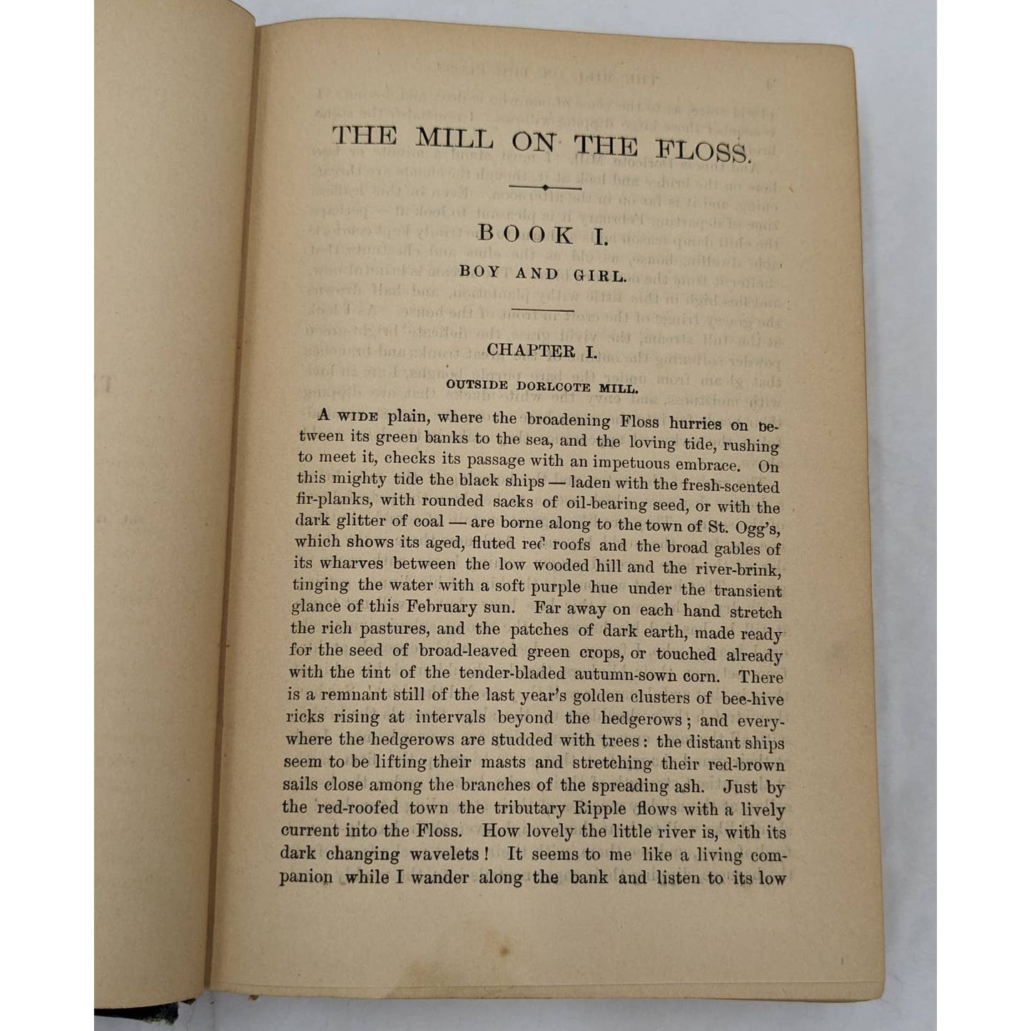 George Eliot Complete Works Mill On The Floss Illustrated Antiquarian Novel