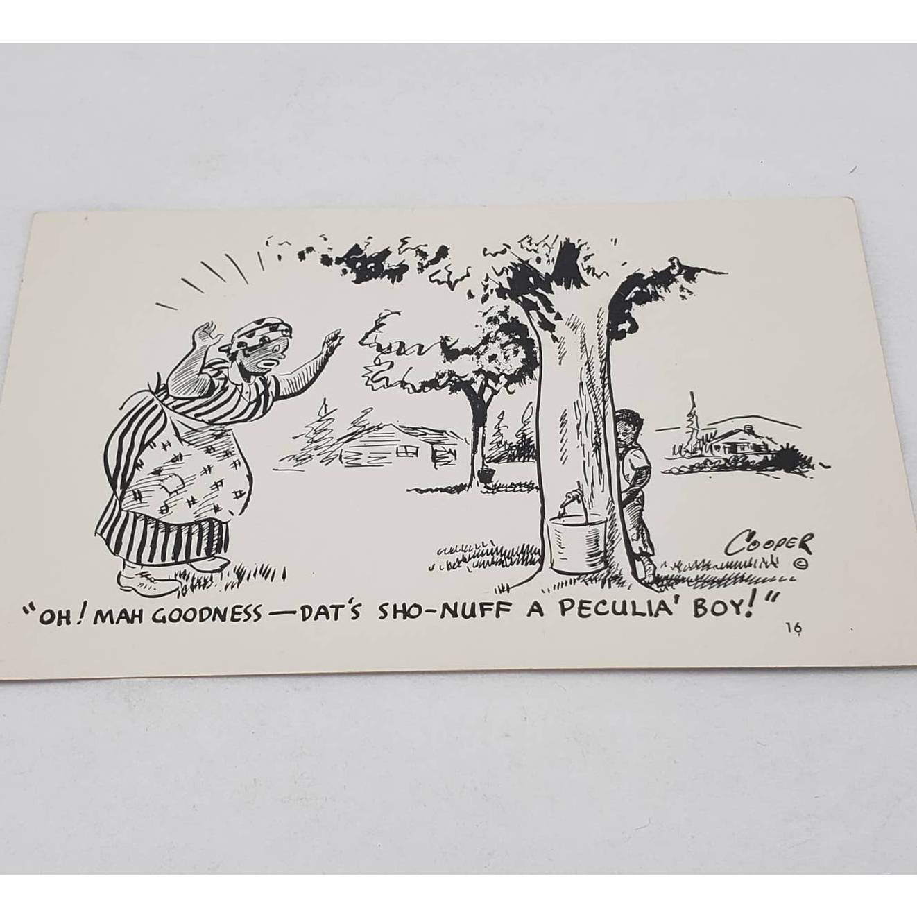 Coopers Photo Laff Card Oh! Mah Goodness Peculiar Boy Humor Vintage Postcard