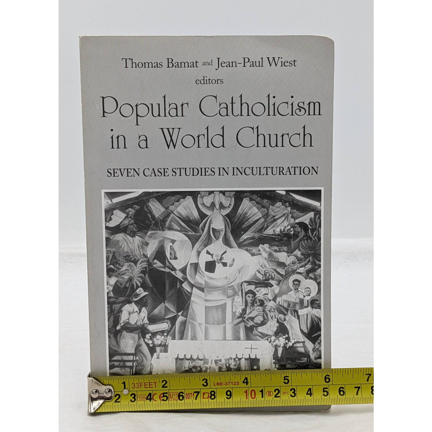 Popular Catholicism In A World Church Seven Case Studies In Inculturation 1999