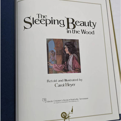 The Sleeping Beauty In The Wood Retold Illustrated By Carol Heyer Vintage 1996