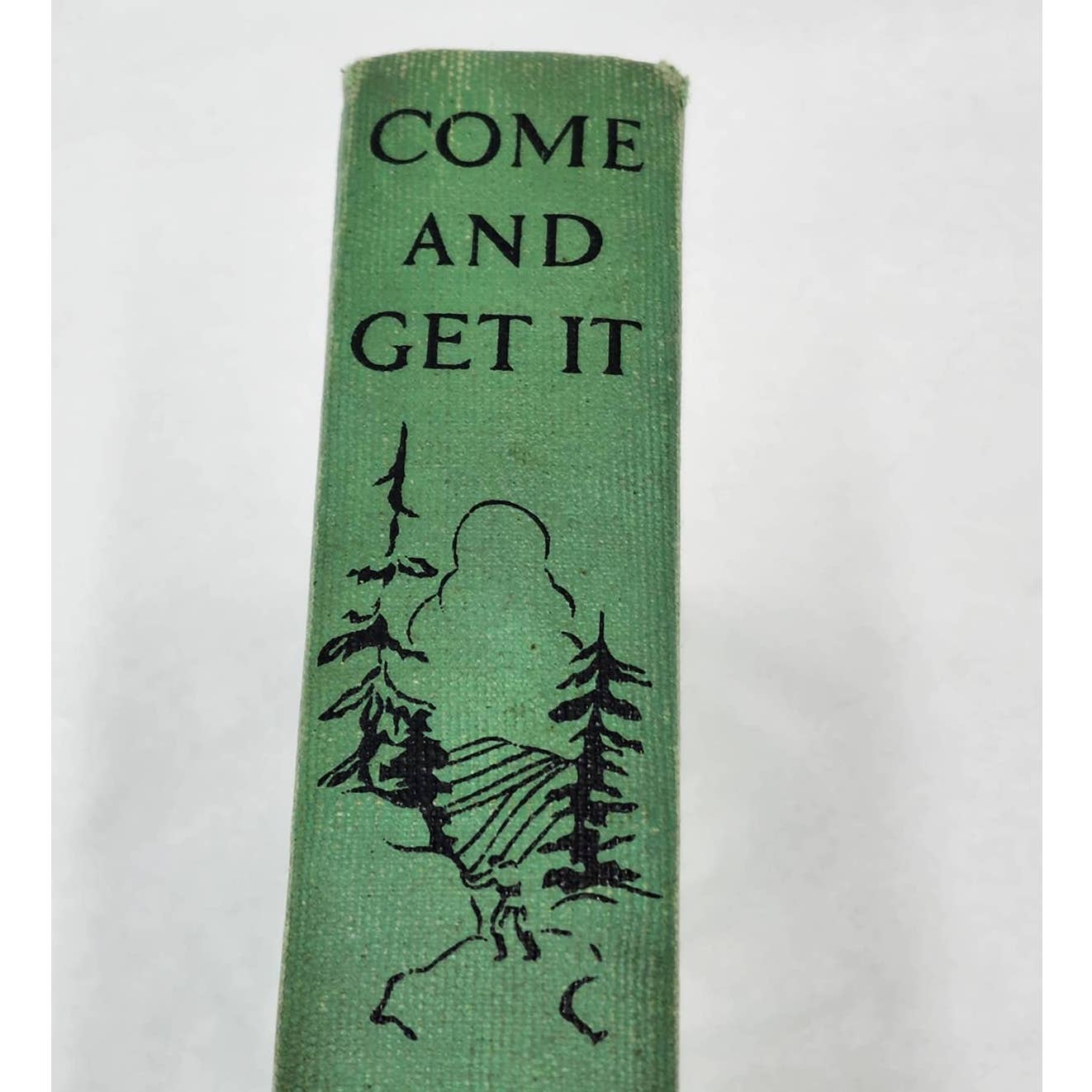 Come And Get It By Edna Ferber Novel Vintage Best Seller Book Early Edition 1935