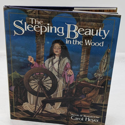 The Sleeping Beauty In The Wood Retold Illustrated By Carol Heyer Vintage 1996