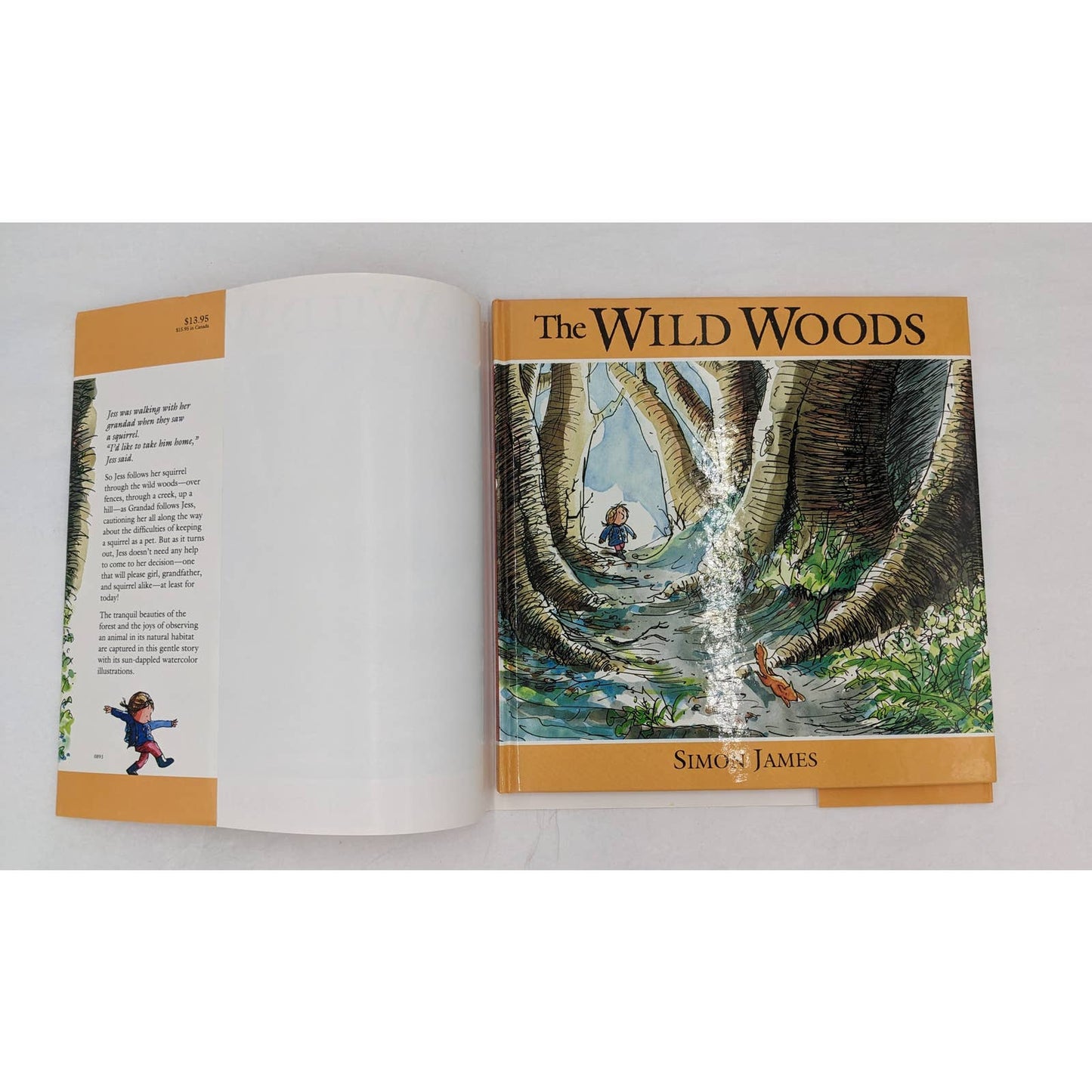 The Wild Woods By Simon James Vintage Childrens Book US First Edition 1993