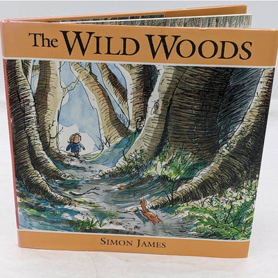 The Wild Woods By Simon James Vintage Childrens Book US First Edition 1993