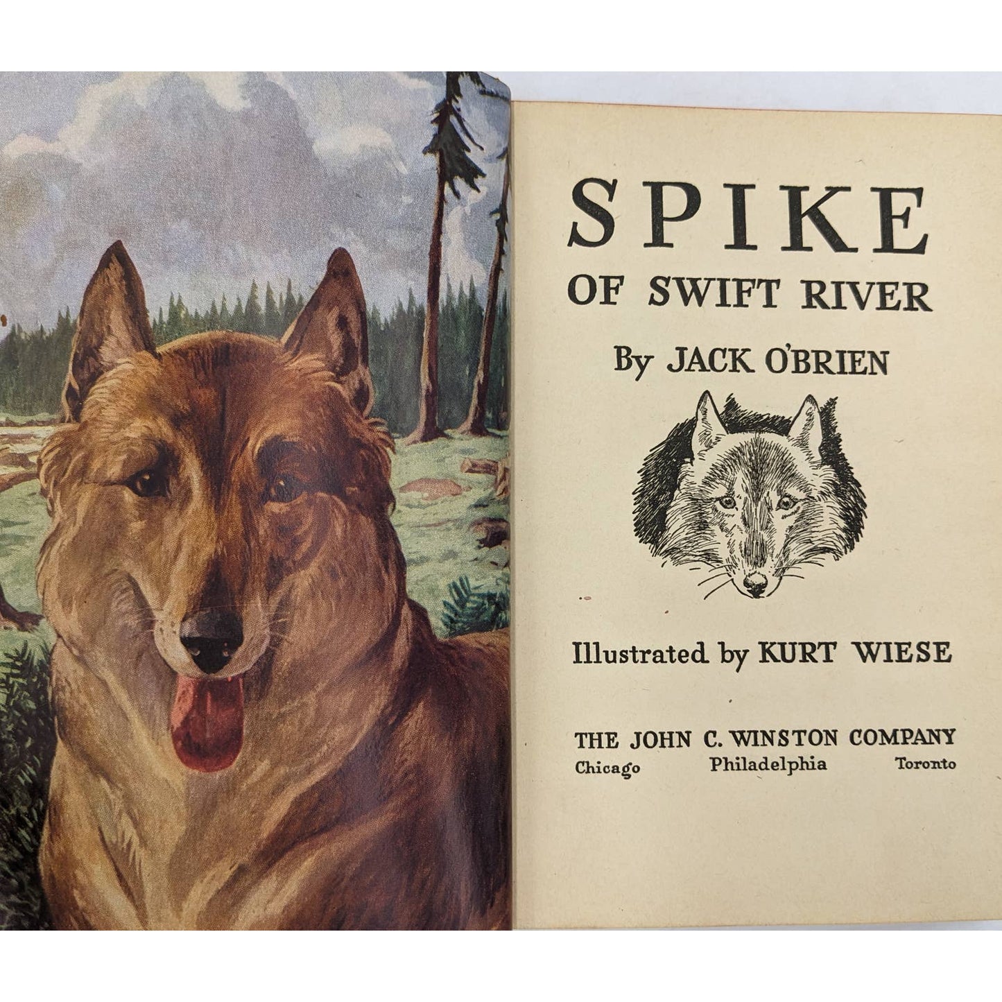 Spike Of Swift River By Jack O'Brien Vintage Illustrated Childrens Novel 1942