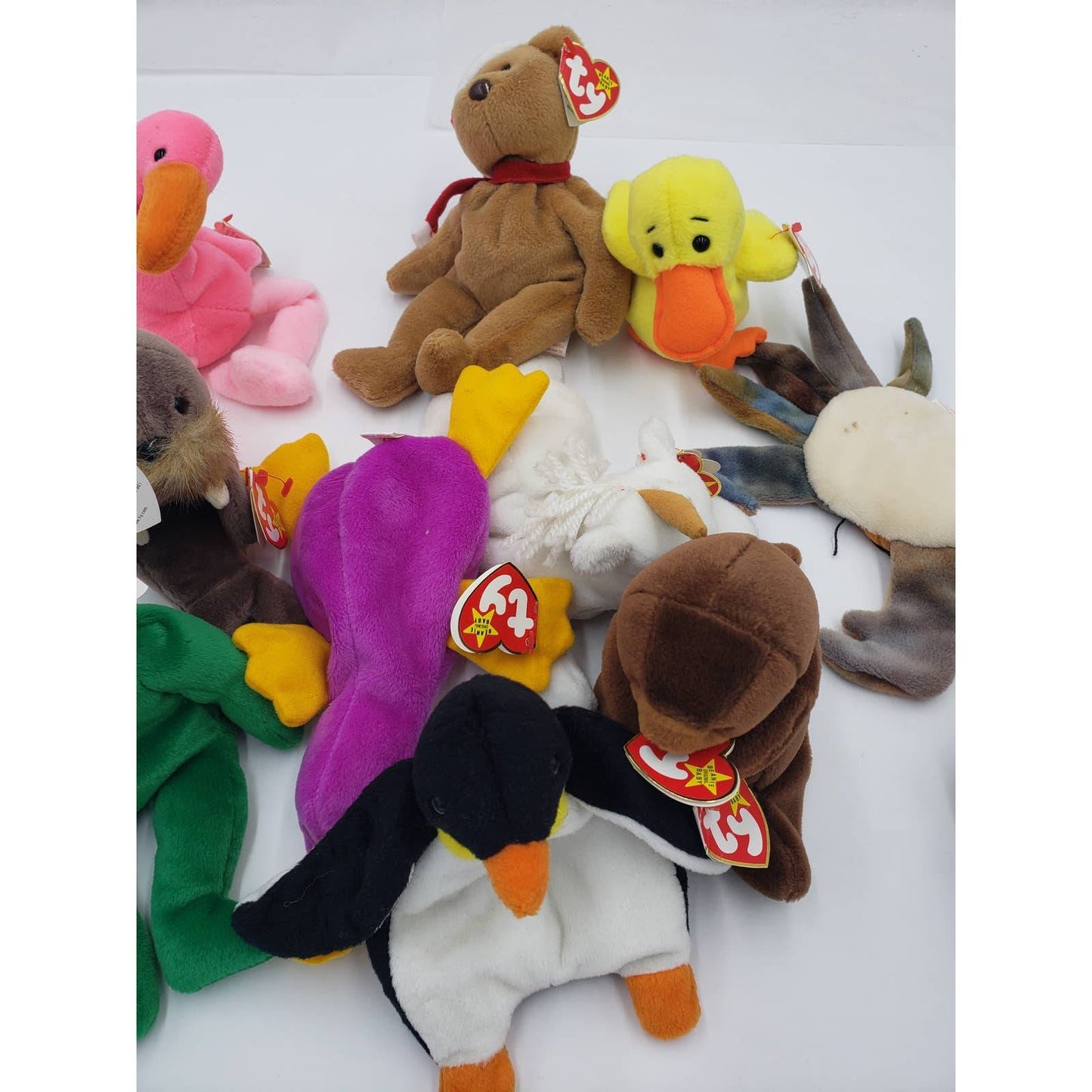 Ty Beanie Baby Lot 11: Patti, Claude, Quackers, Teddy, Waddle, Erin, Seaweed